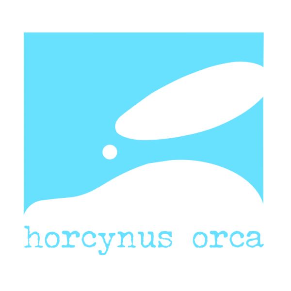 Fondazione Horcynus Orca